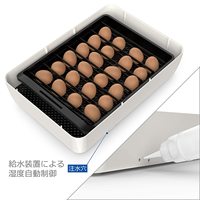 Incubateur automatique miniature WF pour 24 œufs, pour l'élevage de canards, de poulets et d'oies
