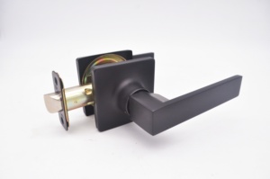 Maxal 2025 Buisvormige Hendel Deurslot Set Nieuwste Ontwerp Zinklegering Doorgang Deurhendel Met 3 Sleutels - Product Image 2