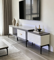Table basse et meuble TV de style minimaliste nordique, blanc, luxe, pour salon, meubles de salon