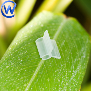 Agriculture Mini Plantes Greffé Silicone Tube Transparent <span class=keywords><strong>Tomate</strong></span> Greffage Clip 2.5 Mm Papillon Clip pour <span class=keywords><strong>Tomate</strong></span> Greffeur - Product Image 1