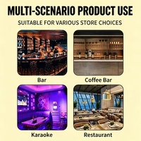 Refrigerador Comercial de Alto Rendimiento con Barra Trasera y Puerta de Vidrio con Iluminación LED para Bebidas en Pubs y Restaurantes