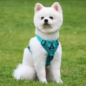 Chaleco Tipo Arnés de Poliéster Transpirable para Mascotas con Logo Personalizado y Características a Medida, Color Sólido, Tallas XS a Grande para Gatos y Perros - Product Image 5