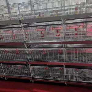 Jaulas <span class=keywords><strong>para</strong></span> <span class=keywords><strong>Pollos</strong></span> <span class=keywords><strong>de</strong></span> Engorde, Cría <span class=keywords><strong>de</strong></span> Aves <span class=keywords><strong>de</strong></span> Corral, Criadora <span class=keywords><strong>de</strong></span> Pollitos, Jaulas <span class=keywords><strong>para</strong></span> Cría <span class=keywords><strong>de</strong></span> Aves <span class=keywords><strong>de</strong></span> Corral, Jaulas <span class=keywords><strong>para</strong></span> Pollitos en <span class=keywords><strong>Venta</strong></span> - Product Image 2