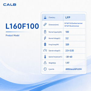 Cellule de batterie LiFePO4 100Ah 3.2V, remplace les batteries au plomb-acide, 4000 cycles, pour système d'alimentation domestique 48V, EV, solaire, CALB CE BIS - Product Image 6