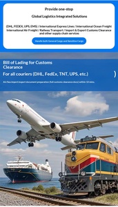 Reliable DDP Sea Freight Forwarder China to USA UK Germany Italy Door to Door Logistics Customs <strong>Clearance</strong> - Product Image 4