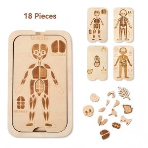 Puzzle anatomique <span class=keywords><strong>du</strong></span> <span class=keywords><strong>corps</strong></span> <span class=keywords><strong>humain</strong></span> en bois à 4 couches, squelette, muscles, organes, jouet éducatif cognitif pour l'éveil précoce des enfants - Product Image 3