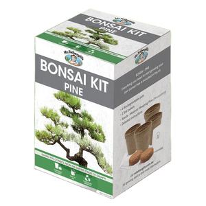 Kit <span class=keywords><strong>de</strong></span> cultivo <span class=keywords><strong>de</strong></span> bonsái <span class=keywords><strong>de</strong></span> <span class=keywords><strong>pino</strong></span> al mejor precio <span class=keywords><strong>de</strong></span> alta calidad para el hogar Kit <span class=keywords><strong>de</strong></span> inicio <span class=keywords><strong>de</strong></span> cultivo <span class=keywords><strong>de</strong></span> árboles para productos <span class=keywords><strong>de</strong></span> regalo únicos para hombres - Product Image 1