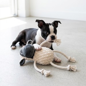 Giocattolo per Cani in Corda e Peluche con Logo Personalizzato, Vendita all'Ingrosso - Product Image 1