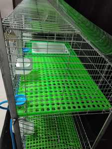 Jaula <span class=keywords><strong>para</strong></span> <span class=keywords><strong>Conejos</strong></span> con Capacidad <span class=keywords><strong>para</strong></span> 24 <span class=keywords><strong>Conejos</strong></span>, con <span class=keywords><strong>Bebederos</strong></span> y Comederos - Product Image 4