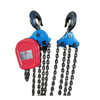 Nouvelle palan électrique à chaîne DHS de type robuste 220V, 3 tonnes, certifié CE, usage commercial, hauteur de levage 6m