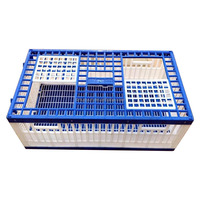 TUOYUN cage d'élevage de transport de pigeons de haute qualité, prix bas, vente en gros