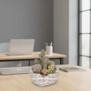 Mezcla <span class=keywords><strong>de</strong></span> <span class=keywords><strong>Cactus</strong></span> y Suculentas Artificiales en Maceta Texturizada, Decoración <span class=keywords><strong>de</strong></span> Desierto Artificial para el Hogar, Oficina, <span class=keywords><strong>Mesa</strong></span> Interior - Product Image 6