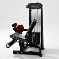 Meilleur prix pour équipement de fitness : Machine à flexions et extensions de jambes en acier avec pile de poids de 80 kg pour l'entraînement musculaire