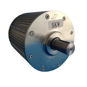 Generatore eolico a magnete permanente a basso numero di giri di fabbrica 5000W 1Kw 2Kw 4Kw alternatore 3 fasi Gearles generatori eolici domestici