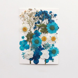 2025 New Product Wholesale <strong>Reasonable</strong> Price Natural Preserved <strong>Flowers</strong> Plants DIY Materials Pressed <strong>Flowers</strong> - Product Image 4