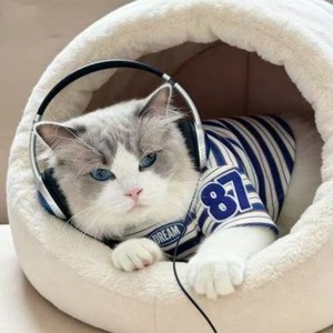 Directly from the manufacturer Summer <b>cat</b> clothes trendy short-sleeved thin striped <b>T</b>-shirt - Product Image 1