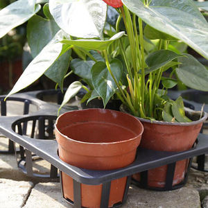 חדש סוג 12 תאי פלסטיק שתיל מגש נייד במפעל סיטונאי באיכות גבוהה משתלת זרעי צמח מגש מסין - Product Image 6