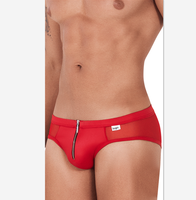 Doorzichtige Stof Op De Rug Lean Cut Bikini Korte Broek Voor Mannen Met Privélogo Ondergoed Heren Rits-Mesh Bikini