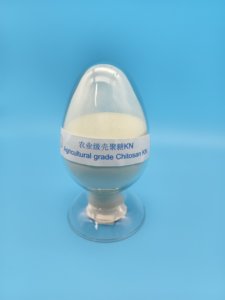 Agricultrural lớp tự nhiên Chitosan bột với DAC 90% - Product Image 3