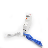 1P + N RCBO 6kA 10kA Rcd disjoncteur résiduel 30mA mini disjoncteur résiduel actuel avec protection contre les surintensités