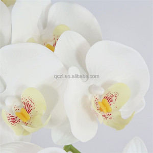 9 Cành Lan Hoa Nhân Tạo Cành Lan Hồ Điệp Nhân Tạo Bằng Cao Su Cảm Ứng Thật Để Trang Trí Nhà Cửa Trang Trí Trung Tâm Bàn - Product Image 5