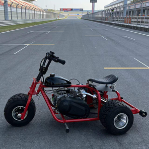 Tricycle tout-terrain à trois roues équipé d'un moteur quatre temps de 212 cm³ ; Kart de <span class=keywords><strong>drift</strong></span> à essence conçu pour la course - Product Image 3