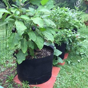 Alta calidad 6-Pack 7 galones <span class=keywords><strong>planta</strong></span> crecer bolsas no tejida aireación vivero bolsa de contenedores con mango - Product Image 5
