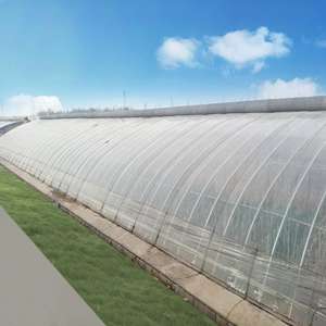 ठंड की सर्दियों में कृषि के लिए मिट्टी/पृथ्वी/ईंट की दीवार के साथ कनाडा निष्क्रिय सौर ग्रीनहाउस - Product Image 2
