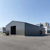 Centro Logístico Industrial de Gran Área, Hangar para Aviones, Almacén Frigorífico, Conjunto Completo de Construcción con Estructura de Acero