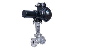 Actuador Básico Tipo On/Off 380 VCA WCB Globe DN50 2 Pulgadas PN16 Modelo HEM - Product Image 2