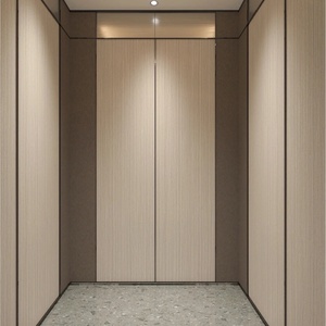 Ascensor Familiar Pequeño de Bajo Precio, Elevadores de Pasajeros de 3-10 Pisos para Villa, Ascensor Eléctrico Personalizado para el Hogar, Ascensor Residencial - Product Image 2