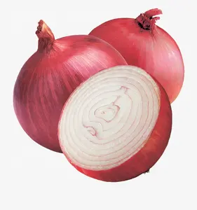 Fresh vegetables Holland onions/Indian red onion price per ton fresh exporter in Mesh Bags