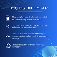 Kartu SIM Internasional 2G & 4G Kartu IOT 30MB/Bulan selama Satu Tahun YOGU Gps M2M Kartu SIM 2G/3G/4G Digunakan pada Pelacak GPS Mobil