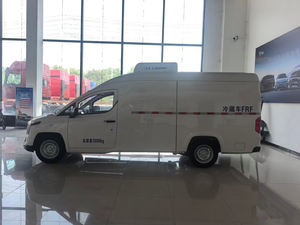 Wuling LINXYS Furgone Elettrico 2024 di Grande Capacità, 109 CV, Veicolo Commerciale Completamente Elettrico, Minivan per Trasporto Merci - Product Image 3