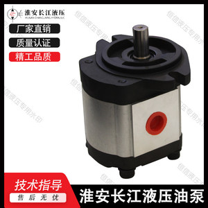 Pompe à engrenages hydraulique Changjiang GPY 3 en fonte à entraînement électrique rotatif - Product Image 5
