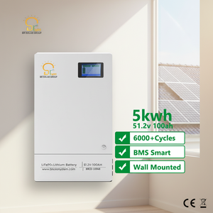 Batterie LiFePO4 murale BR SOLAR Smart BMS 51,2V 100Ah 5kWh avec garantie <span class=keywords><strong>de</strong></span> plus <span class=keywords><strong>de</strong></span> <span class=keywords><strong>10</strong></span> ans et 6000 cycles pour stockage solaire résidentiel - Product Image 1