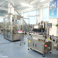 Sipuxin Machine de remplissage de poudre entièrement automatique à 2 buses, équipement d'emballage de servomoteur pour granulés de lait en poudre chimique alimentaire