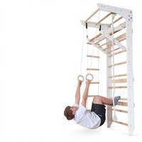 Cadre d'escalade intérieur/extérieur en demi-cercle pour enfants Toddler Montessori Swedish Ladder Australian Cat Mounted Frame Set for Kids