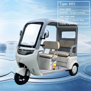 Tricycle électrique à 3 roues pour passagers, moteur 1000W, 2 places, auvent pour personnes âgées, homologué CE, tension 48V, type de carrosserie ouverte - Product Image 5