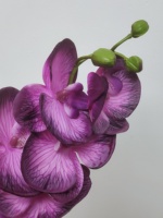 Orchidées artificielles de qualité supérieure, toucher réaliste, en latex, longue tige, 7 têtes, couleur rose, pour mariage, décoration de la maison, fête des mères