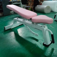 Peinture rose Style Lat Pulldown Low Row Abductor Adductor Banc réglable Équipement de gymnastique pour les femmes