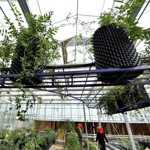 Nhà máy kiểm soát gốc nồi không khí thoáng khí cắt tỉa nồi nhà máy Tuyên Truyền Chậu hoa gốc phát triển container - Product Image 3