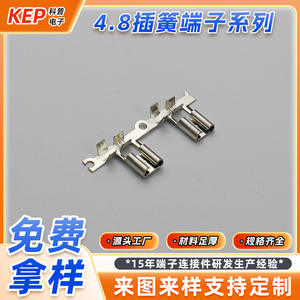 Terminal de Desconexión Rápida de 4.8mm con Resorte, Conector de Cableado de Cobre Puro de Inserción Macho-Hembra de 2 Polos - Product Image 5