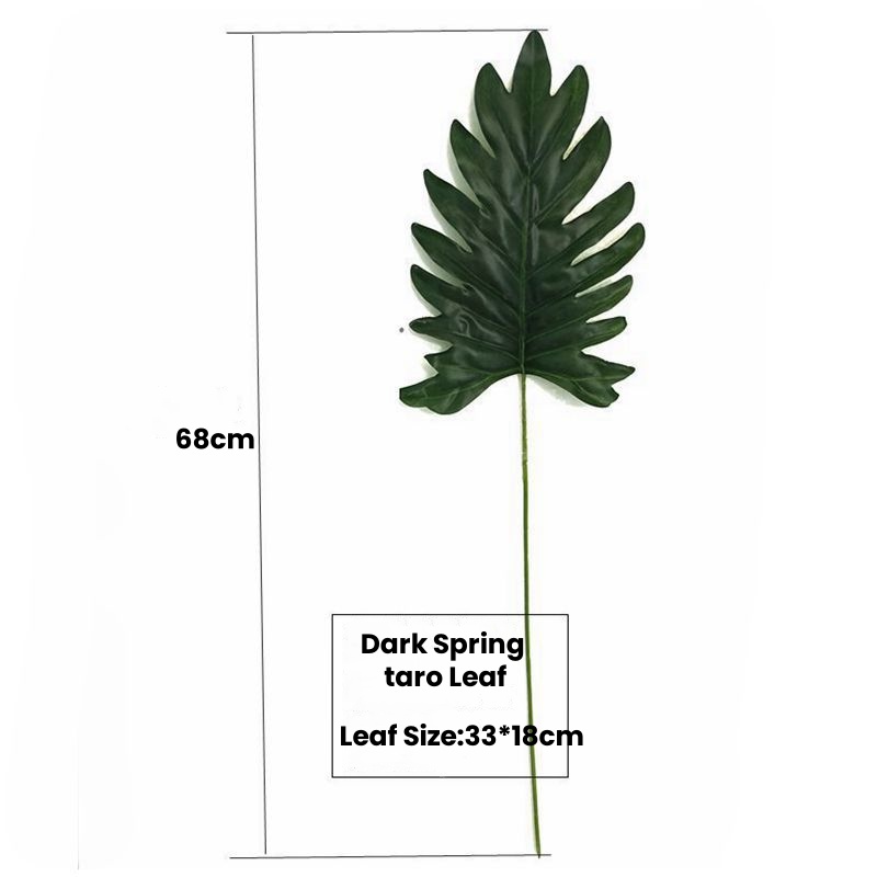 #6 Dark Green Spring taro Leaf