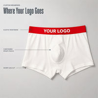 Boxers pour hommes avec logo personnalisé, séchage rapide, respirants, en tricot, avec ceinture élastique rouge personnalisée