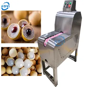 Longan Core extract peeling máquina deshuesadora para fábrica de frutas Paice longan Core removing Sheller Machine para la venta