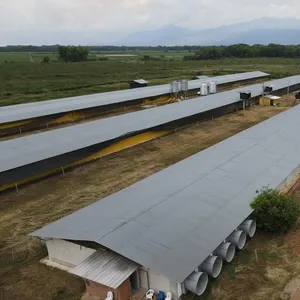 <span class=keywords><strong>Cage</strong></span> de poulet à couche/couche, cellule de volaille économique, design de ferme de volaille - Product Image 1