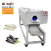 Industriële koolwortel-wortel-groente-fruit-schilmachine, yam-loofah-schilmachine, aubergine-schilmachine, 304 roestvrij staal