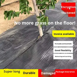 Toile de paillage noire en PP pour l'élimination des mauvaises herbes dans les vergers agricoles et <span class=keywords><strong>film</strong></span> de couverture du sol - Product Image 5