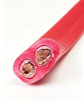 Zweiadriges Verzinntes Kupferkabel, Silikonisoliert, Integriertes Flachkabel mit Silikonmantel, Hochtemperaturbeständiges Stromkabel